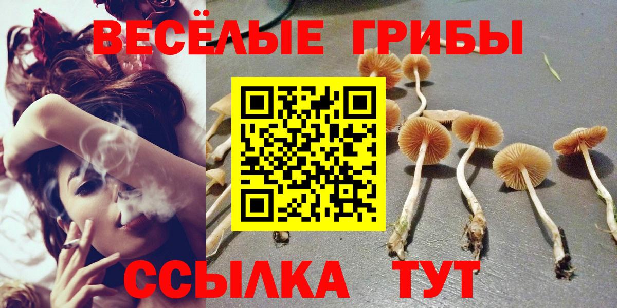 Гусиноозёрск  Псилоцибиновые грибы прущие грибы  Вход с VPN 