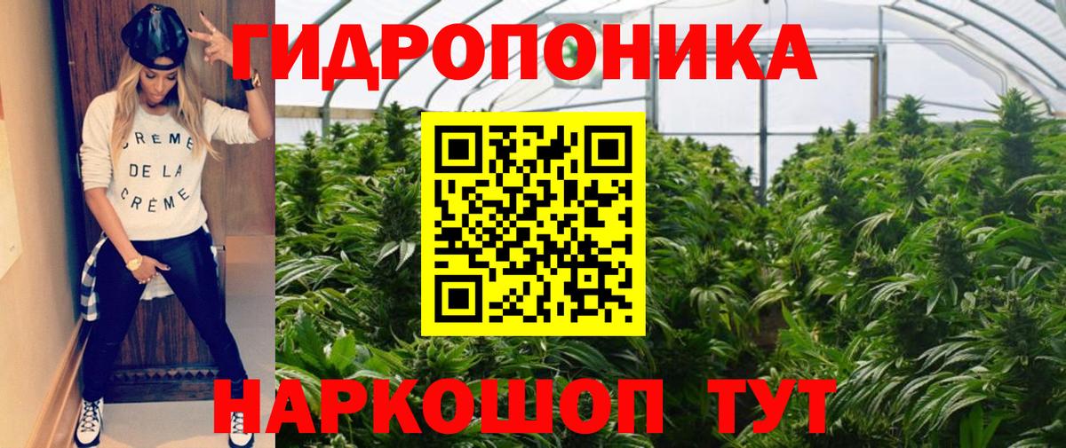Бошки Шишки тримм Гусиноозёрск